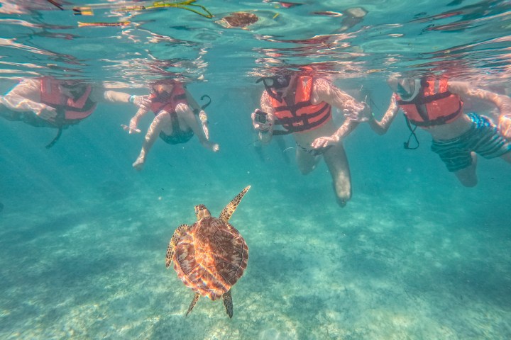 a group of people swimming in the water