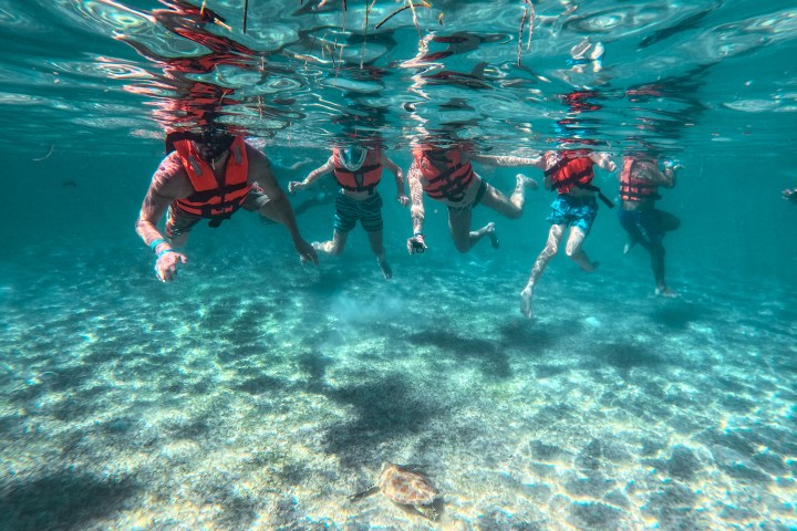 a group of people swimming in a body of water