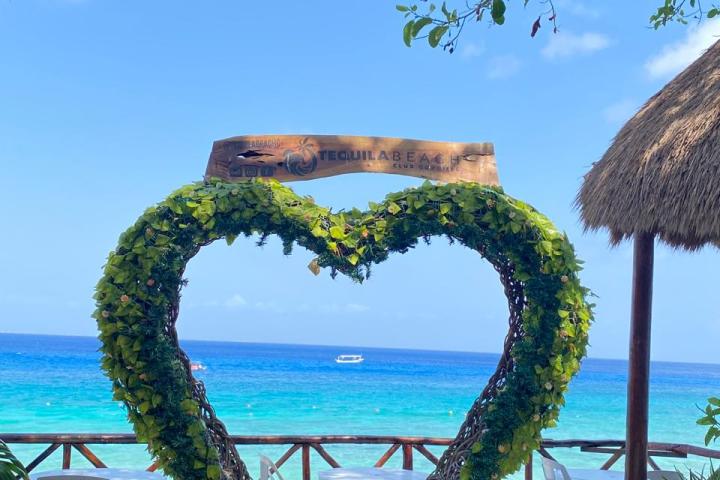 water next to a palm tree