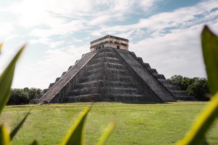 a close up of a green field